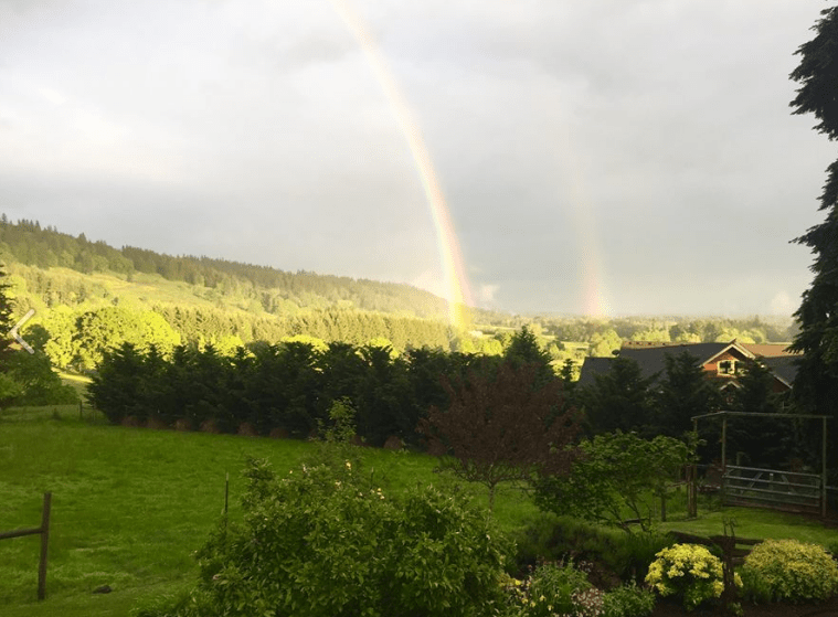 Screen Shot 2016-05-02 at 9.51.49 PM