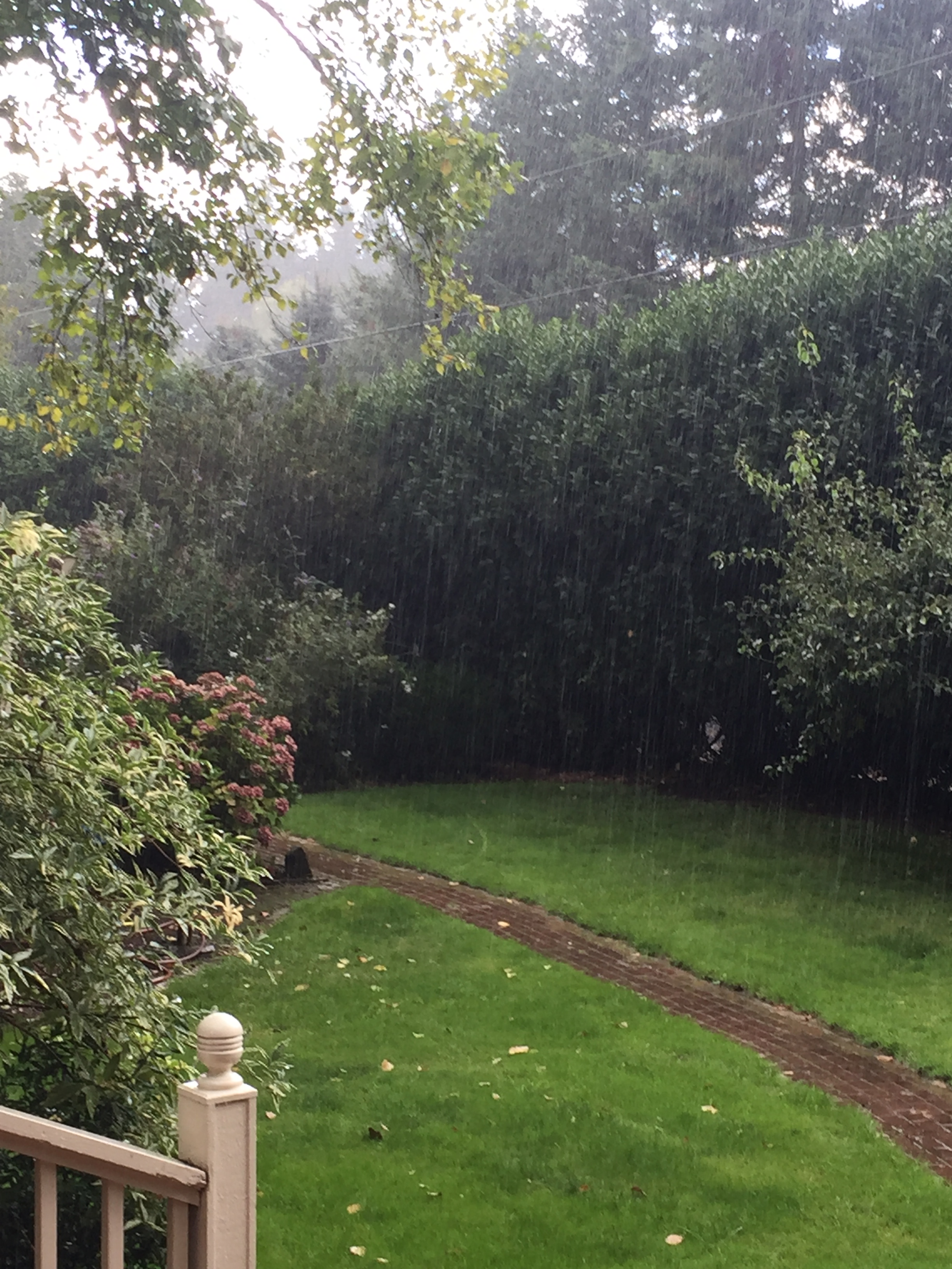 2016-09-18 16.29.56.jpg