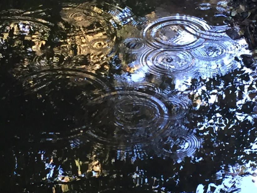 2016-09-18 17.02.50.jpg