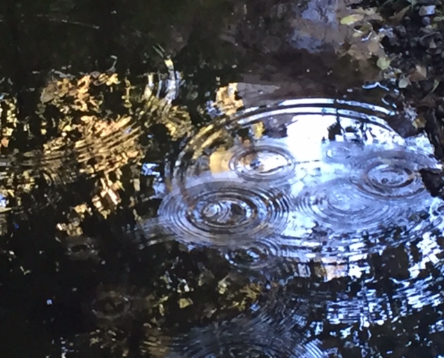 FullSizeRender (1).jpg